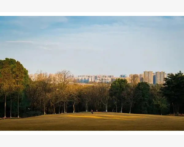 气血不足，眼睛疲劳，头晕：中医角度解析及预防方法