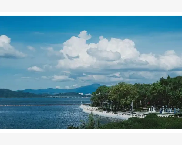 B2B后腰实战操作与功能详解