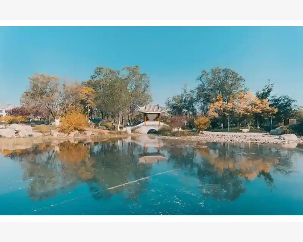 太福川贝清肺糖浆：呼吸系统健康的良好护航